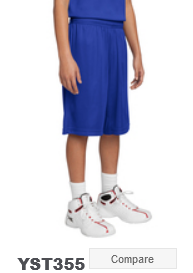 Screenshot 2024-09-14 at 02-25-55 Basketball Activewear SanMar